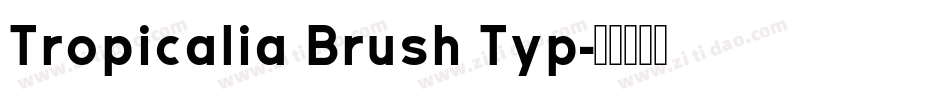 Tropicalia Brush Typ字体转换